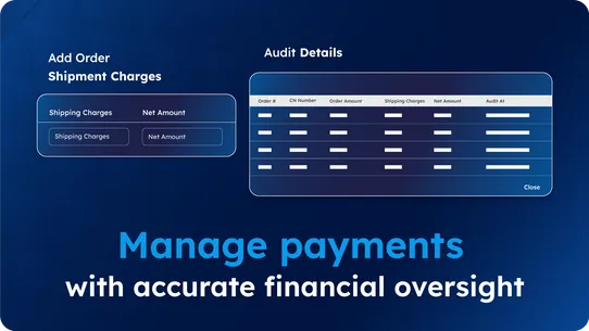 H3 Payment Audit screenshot