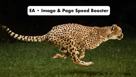 Image &amp; Page Speed Booster •EA screenshot