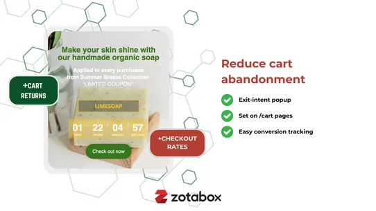 Z Promote &amp; Convert Popup screenshot