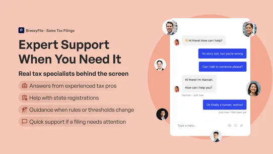BreezyFile ‑ Sales Tax Filings screenshot