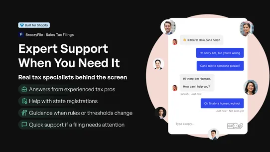 Sales Tax Filings ‑ BreezyFile screenshot