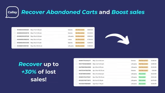 Callsy: Abandoned Checkout AI screenshot