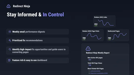 Redirect Ninja ‑ Easy 404 Fix screenshot