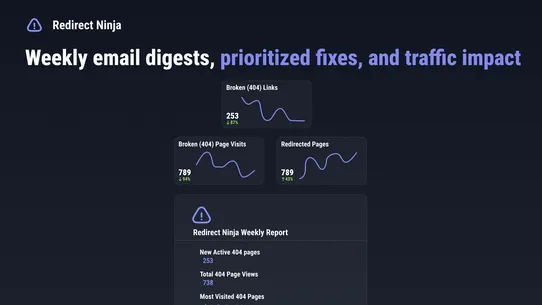 Redirect Ninja ‑ Easy 404 Fix screenshot