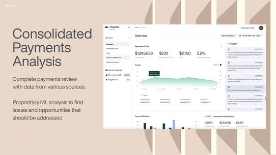 Maven payments co‑pilot screenshot