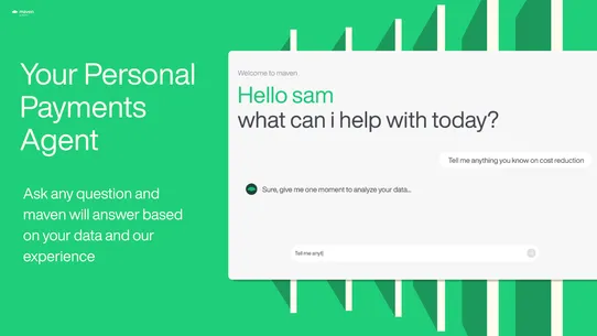 Maven payments co‑pilot screenshot