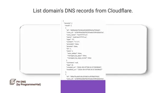 PH Automated DNS records setup screenshot