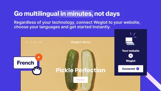 Weglot ‑ Translate Your Store screenshot