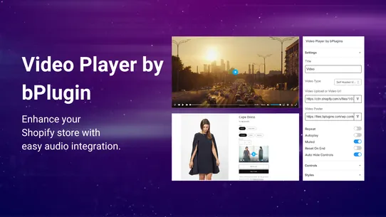 Video Player by bPlugins screenshot