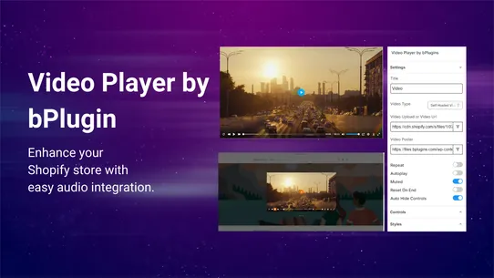 Video Player by bPlugins screenshot