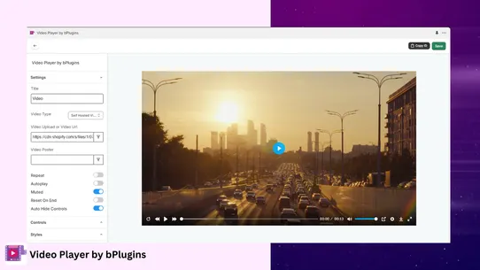 Video Player by bPlugins screenshot