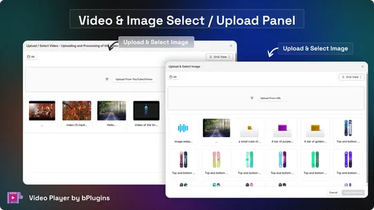 Video Player by bPlugins screenshot