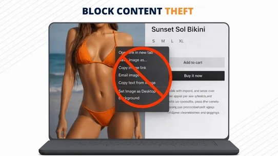 BL Content Protection screenshot