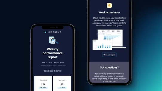 Lebesgue: AI Marketing &amp; LTV screenshot