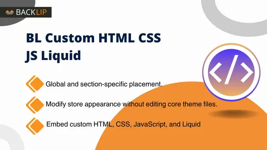 BL Custom HTML CSS JS Liquid screenshot