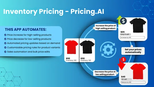 Inventory Pricing ‑ Pricing.AI screenshot