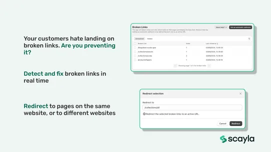 Redirect Pro ‑ 404 SEO screenshot