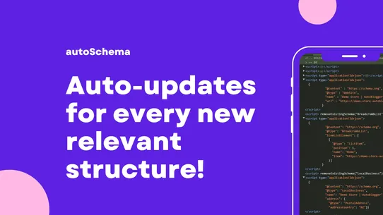 autoSchema | Google SEO Schema screenshot