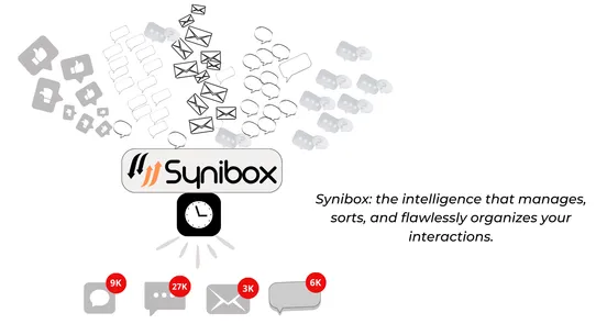 Synibox for Customer Services screenshot