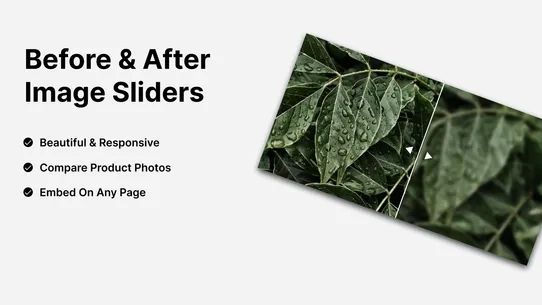 Slidr: Before And After Slider screenshot