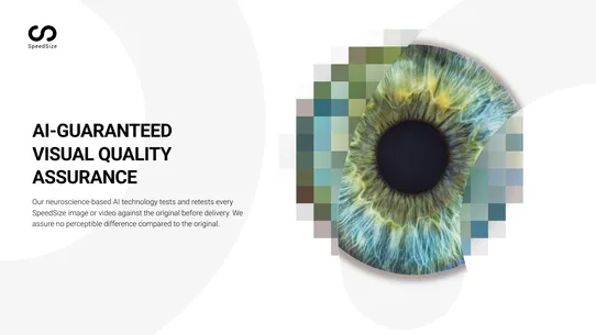 SpeedSize ‑ AI Faster Visuals screenshot