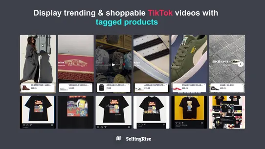 SR: TikTok Feeds Upsell screenshot