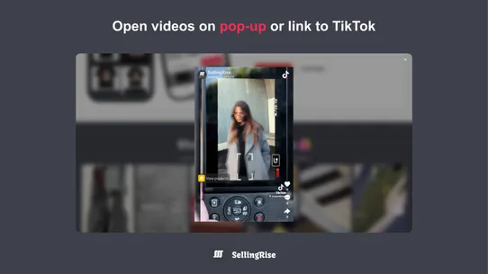 SR: TikTok Feeds Upsell screenshot