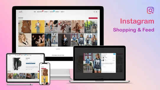 VA: Instagram Slider &amp; Feed screenshot