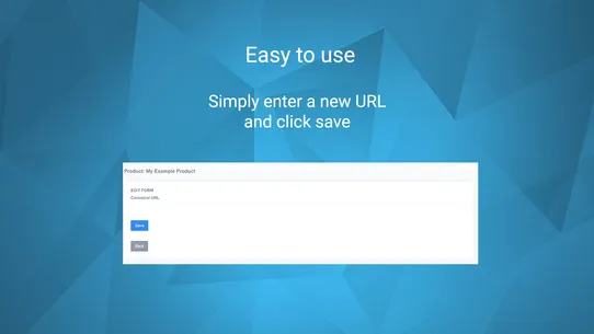 Canonical Tag URL Wizard screenshot
