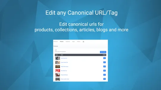 Canonical Tag URL Wizard screenshot