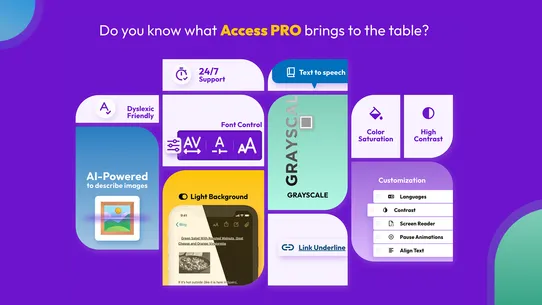 AccessPro Accessibility Widget screenshot