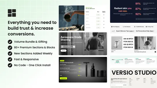 Section VSO: Theme Sections screenshot