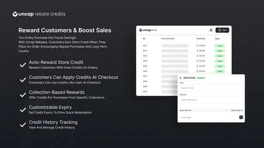 Uncap Rebate Credits screenshot
