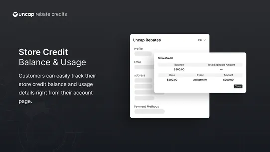 Uncap Rebate Credits screenshot