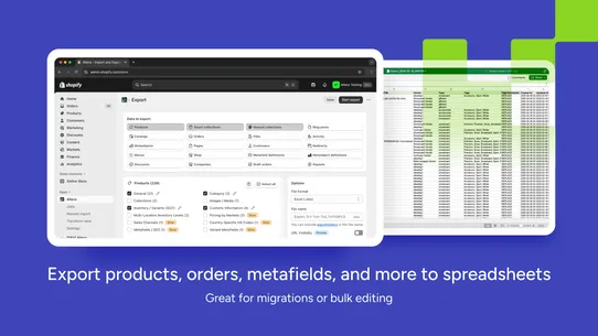Altera ‑ Export and Import screenshot