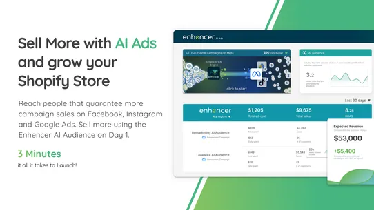 AI Ads | Facebook &amp; Google screenshot