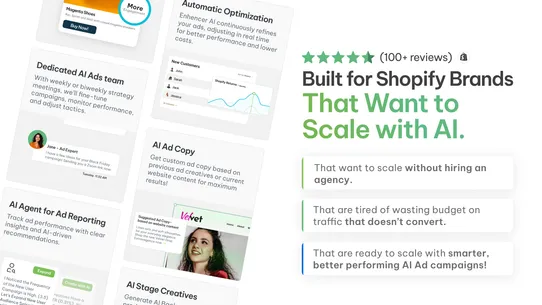 AI Ads on Facebook &amp; Google screenshot