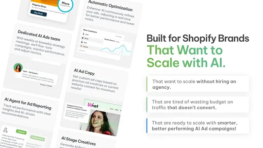 AI Ads on Facebook &amp; Google screenshot