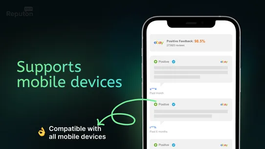 Reputon eBay Reviews screenshot
