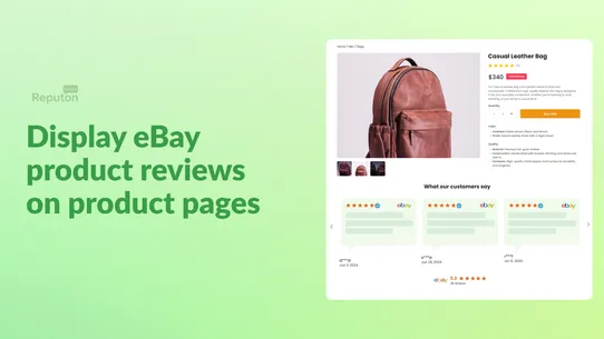 Reputon Ebay Reviews screenshot