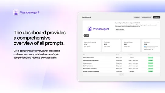 WunderAgent: AI Customer Tags screenshot