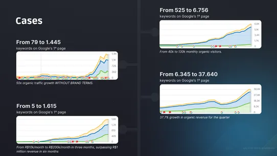 Naper AI Bulk SEO Optimization screenshot