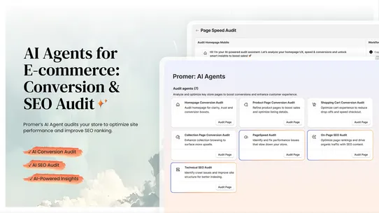 Store AI Audit &amp; SEO Optimizer screenshot