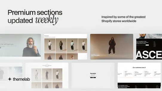 themelab | Theme Sections screenshot