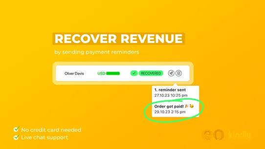 Kindly: Send Payment Reminder screenshot