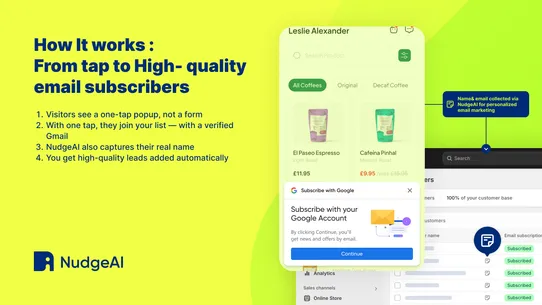 NudgeAI‑Valuable Email Capture screenshot