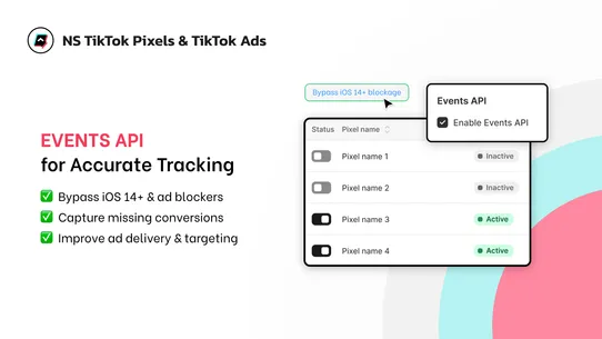 NS TikTok Pixels &amp; TikTok Ads screenshot