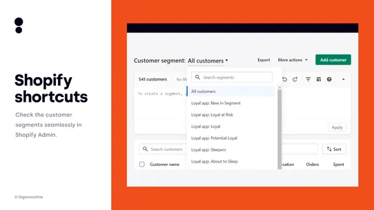 Loyal | Customer Segments screenshot