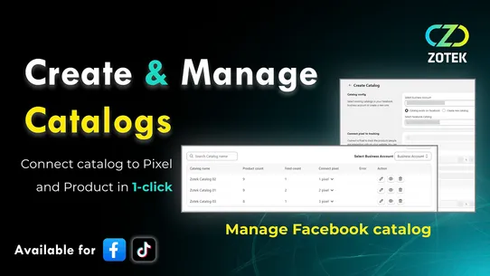Ⓩ Facebook Pixels TikTok Pixel screenshot