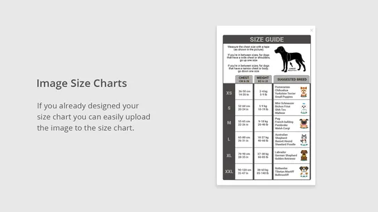 BF Size Chart &amp; Size Guide screenshot